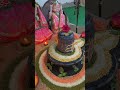 man ko deepak🙏🏻🌷#bhagti song mahadev status #om namah shivaya #bhole baba#shorts