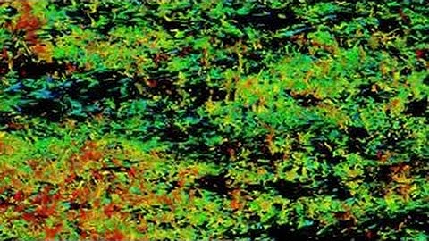 Visualization of vortical structures in a turbulent pipe flow at Reτ = 3008