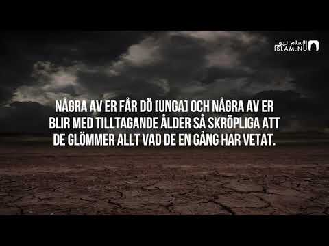 Surah Al-Hajj (1-7) - Ahmed Rajab