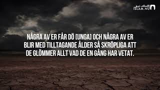 Surah Al-Hajj (1-7) - Ahmed Rajab