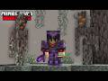 J'ai découvert la PIRE MISE à JOUR sur Minecraft Hardcore ?!