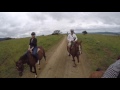 Horse Riding at Three tree Hill - From guests