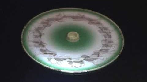 Strobotop Lightphase Animator with Muybridge Horse Animation