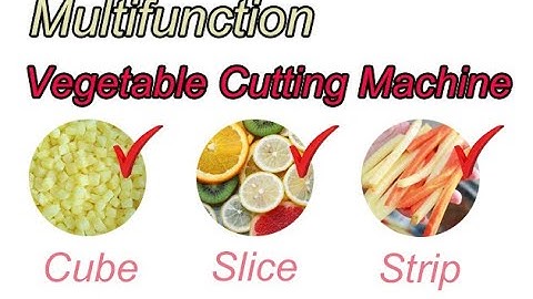 Multifunction Vegetable Cutting Machine/How To Install Vegetable Cutting Machine