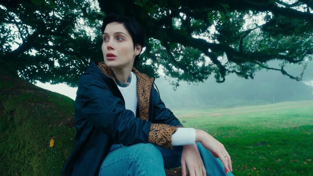 Там, де світло шукає дорогу