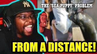 How to Love an Animal to Death (Casual Geographic) DB Reaction