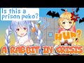 [Usada pekora] A Rabbit in Crisis [Yozora Mel, Hololive Eng Sub]