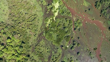 Water Resources and Ecosystem Health Track