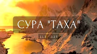 Красивое чтение суры &quot;ТаХа&quot; (113-127 аяты) 🌱 | @AlmalkeyLibya