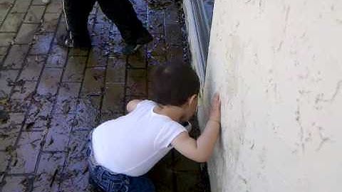 video-2010-04-01-15-10-09