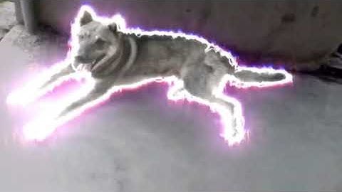 Share Code Giật Giật Siêu Cuốn | Nghĩ Đi Mà Xem