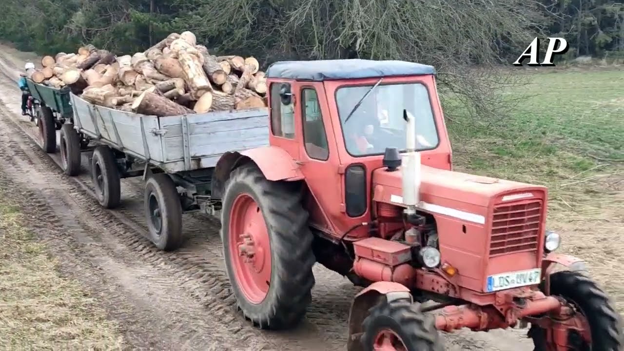 Belarus MTS 82 mit Frontlader zieht Holzhänger durch den Schlamm /2