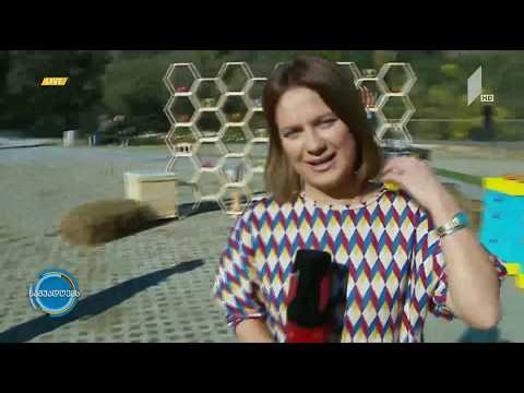 #ნაშუადღევს თაფლის ფესტივალი