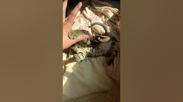 Доигралась🤒