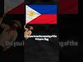 the meaning of the Philippines flag.  #philippines #history #meaning
