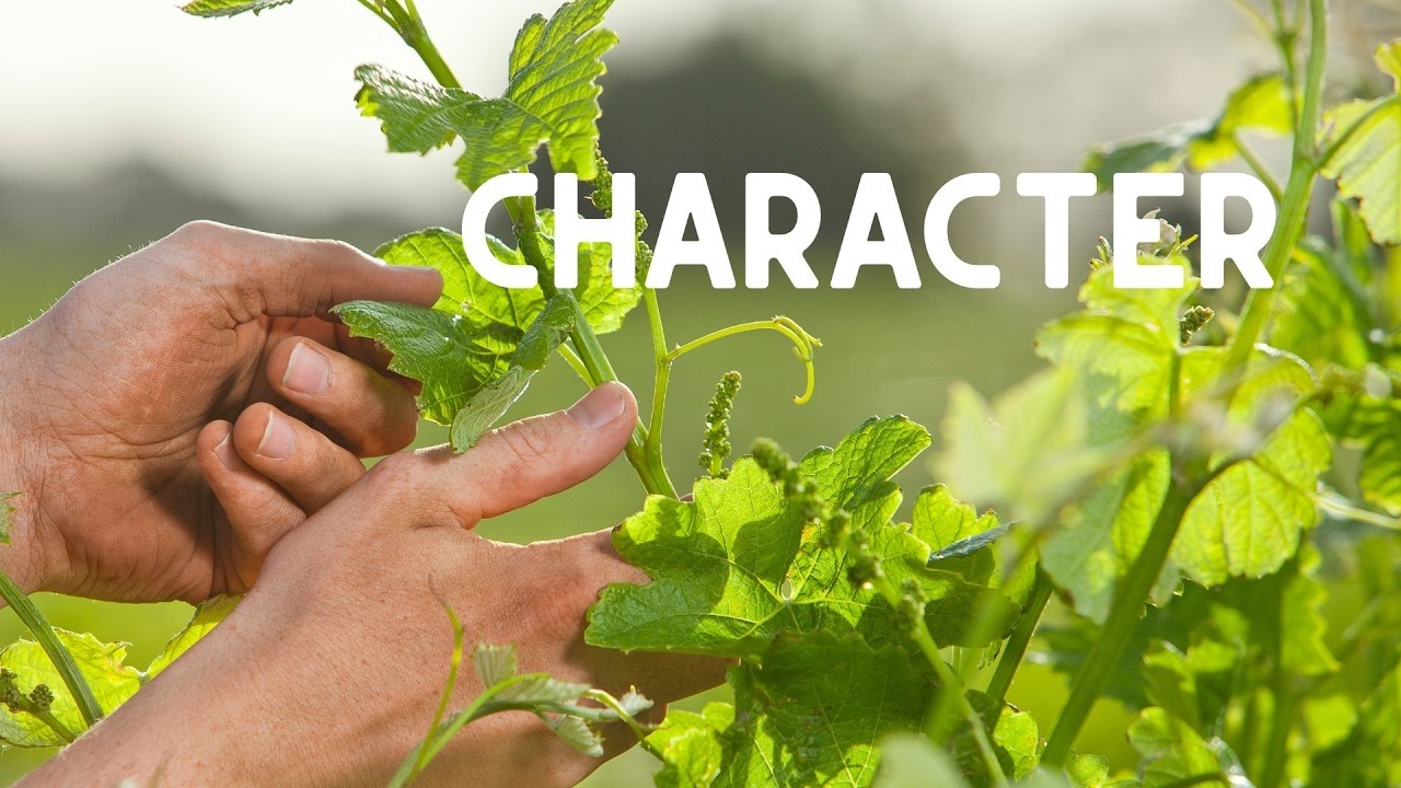 Developing Sexual Integrity (Maddie Westbrook) | Character