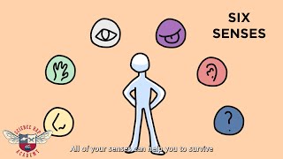 Six Senses - Science Rap Academy
