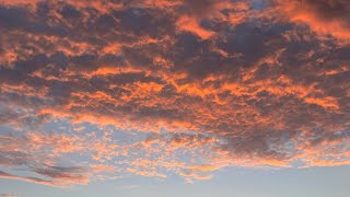 Depersonalization, derealization, chronic pain 10 minute meditation to return to your body