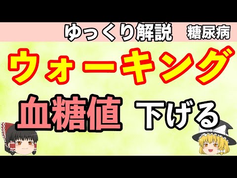 ゆっくり解説【40代からの糖尿病チャンネル】