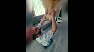 Playing With Puffy Pomeranian Have Fun With His Owner Puffy
