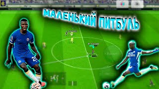 МОЙСЕС КАЙСЕДО МАЛЕНЬКИЙ ПИТБУЛЬ В #efootball2024