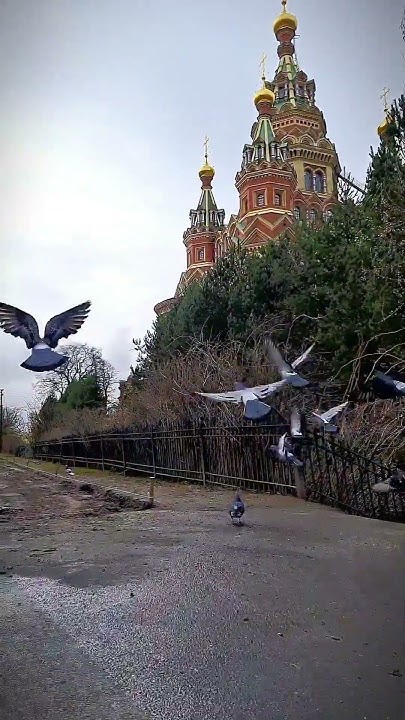 СЕЙЧАС В ПЕТЕРГОФЕ Погода в Питере сегодня снежок чуток кружиться # ...