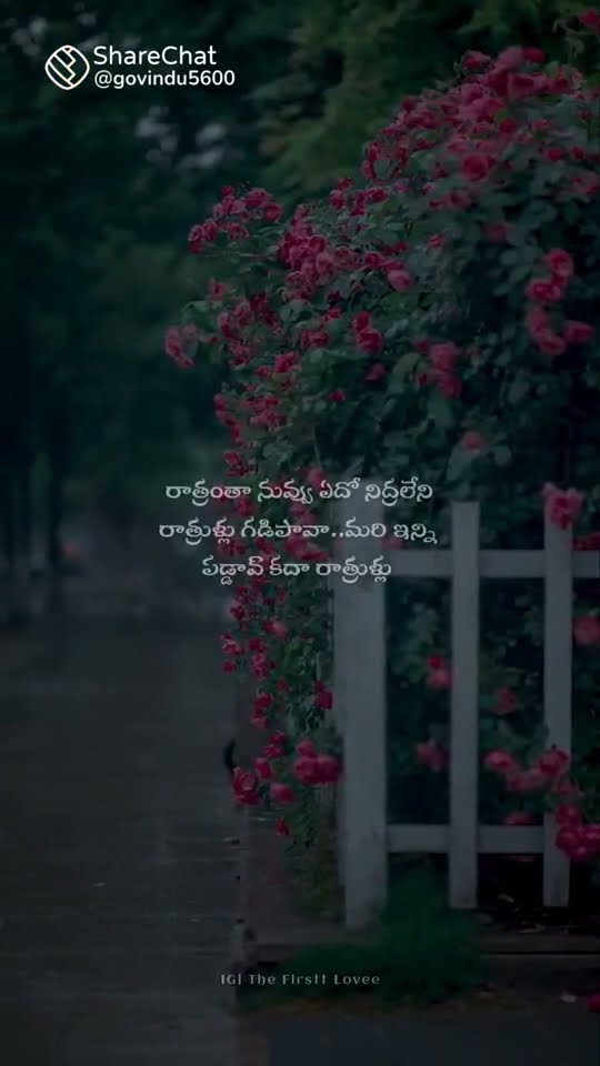 📀యేసయ్య కీర్తనలు🎙 - ShareChat