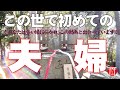 ※この動画を見た直後、強いご縁に引かれます※【遠隔参拝】おのころ島神社