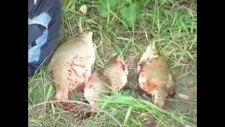 Рыбалка на пенопласт. Раскрою секреты Рыбалка на пенопласт. Раскрою секреты