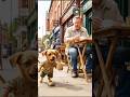 The coffee fell on the man because of the poor puppy 😥 #ytshorts #shorts