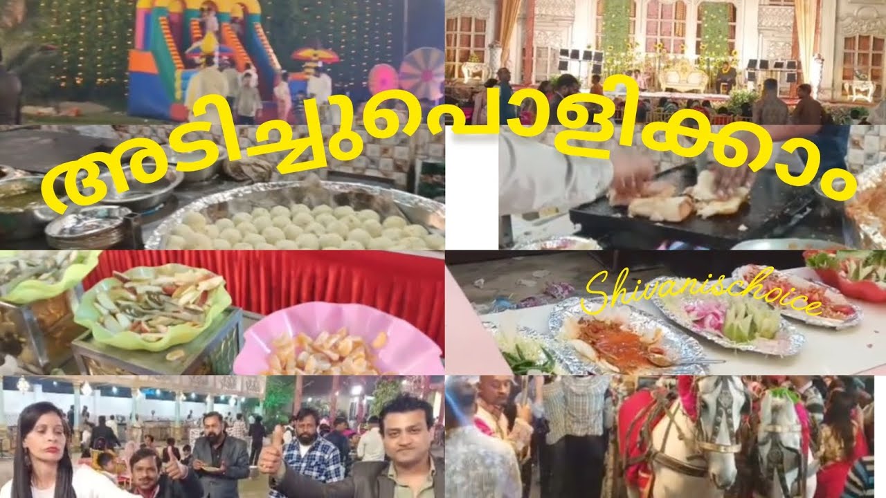 ഒരു വടക്കൻ ആഘോഷം 🥰🥰#video #shivanischoice 