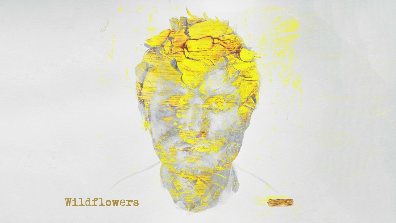 Ed Sheeran - Wildflowers [Official Visualiser]