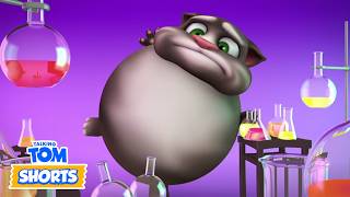 🔴 Talking Tom Shorts Ultra Marathon ⭐ All Episodes of Season 3 ⭐ 24/7 LIVESTREAM 🔴 🔴 Talking Tom Shorts Ultra Marathon ⭐ All Episodes of Season 3 ⭐ 24/7 LIVESTREAM 🔴