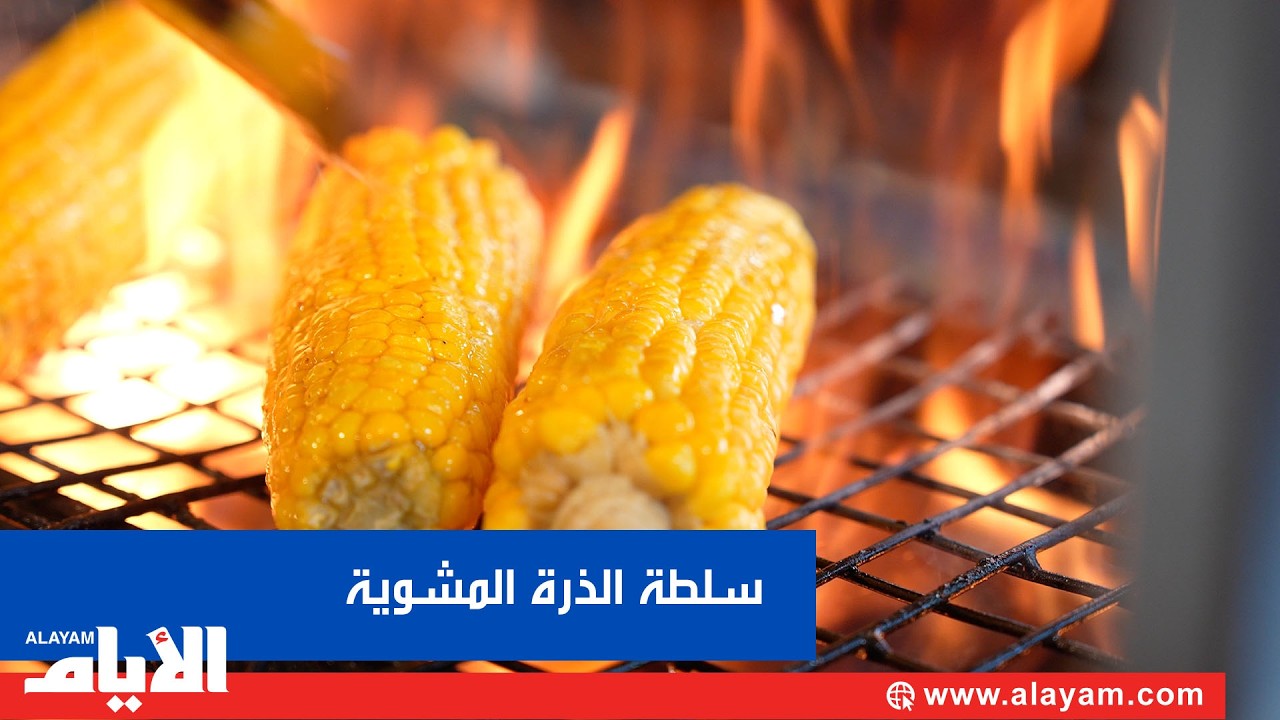 ���� ��� ����� �� ���� �� ���������.. ������ ���� �� ����
 - نشر قبل 12 دقيقة