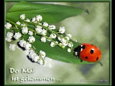 Maienlied Nr.2: Alles