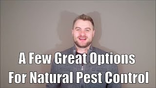 Going Green: A Few Great Options For Green Pest Control