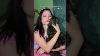 Download Lagu 🫠😓💔 #foryou #1mviewers #shammishem #shorts #shortsfeed #shortsviral #catlove #love #cat #like MP3