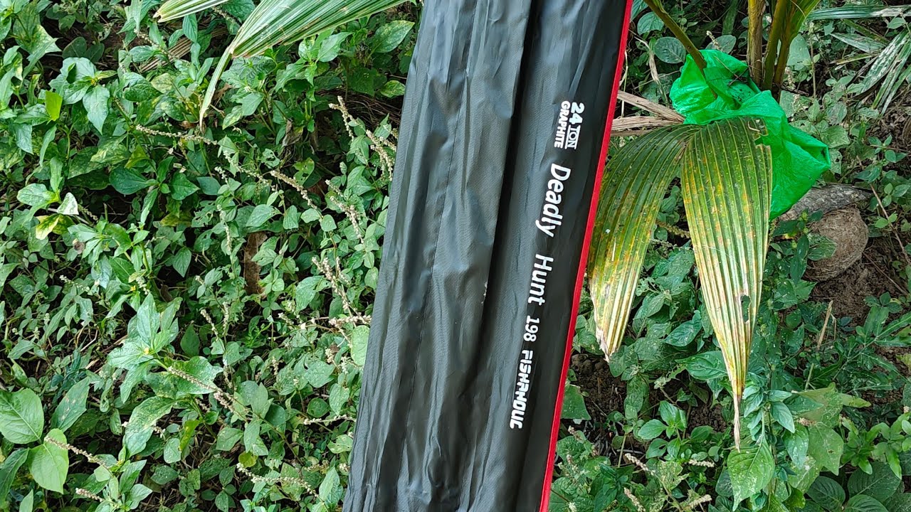 Unboxing Deadly Hunt Baitcasting Rod |Fishholic Rod | 