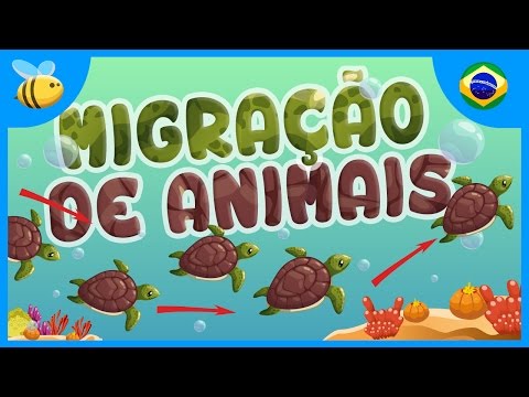 Por Que Os Animais Migram? | Vídeos Educativos para Crianças