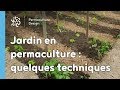 Exemple de techniques pour un jardin potager en permaculture