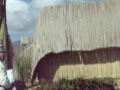 Isla Flotante de los Uros  Lago Titicaca Perú