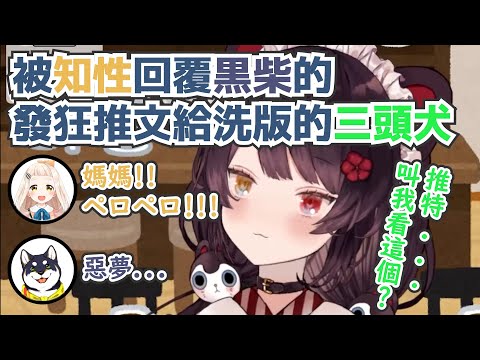 【彩虹社中文翻譯】被知性回覆黑柴的發狂推文給洗版的三頭犬【戌亥とこ/黒井しば/町田ちま】