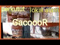 perkutut lokal alam gacor