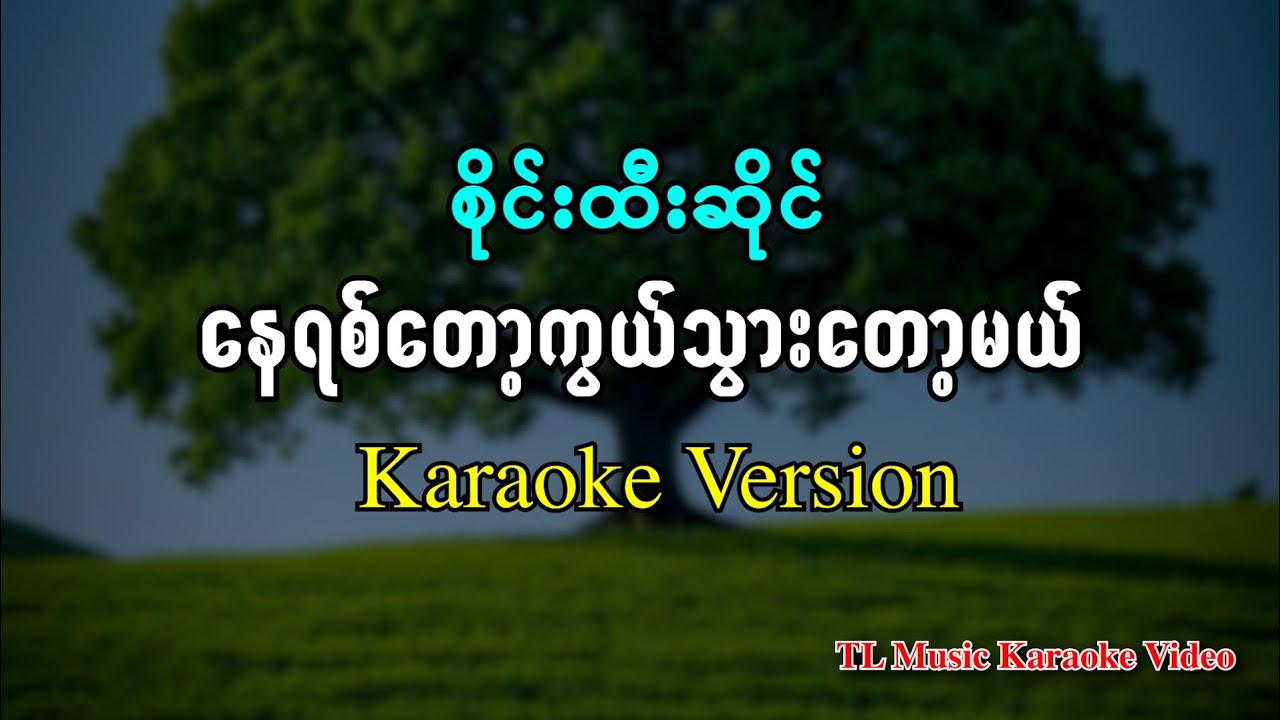 စိုင်းထီးဆိုင် - နေရစ်တော့ကွယ်သွားတော့မယ် ( Karaoke Version ) 2025