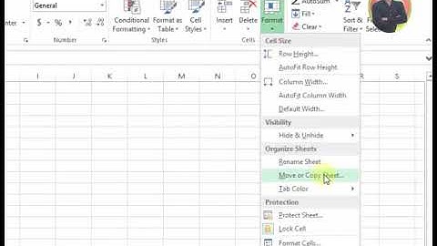 How To Move or Copy Sheets in MS Excel 2013 Tutorial p50 Urdu Hindi