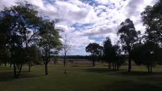 #0052 The Window | #TimeLapseProject | 2025-05-21
