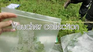 Voucher Collection ? Freshwater Swamp Adventure (Part 6)