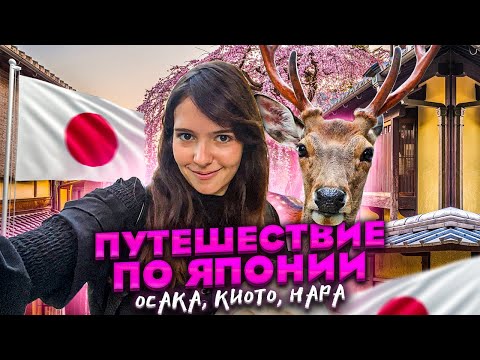 видео: ГОРОД оленей | Лучшая японская ЕДА | ОСАКА | КИОТО | НАРА