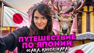 ГОРОД оленей | Лучшая японская ЕДА | ОСАКА | КИОТО | НАРА