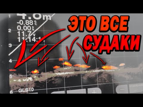 Это все СУДАКИ! Первый опыт зимой с Panoptix